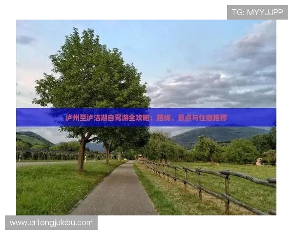 搏天堂平台：最新优惠活动与注册流程详细指南