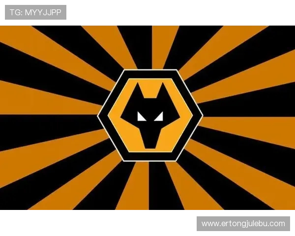 解决英超国际登录常见问题，兼顾信息安全与便捷